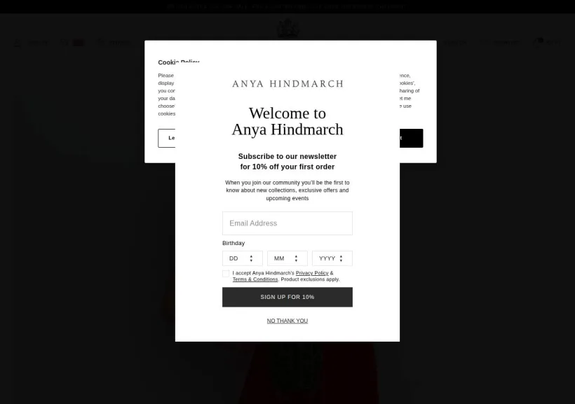 Schermata della pagina offerta di Anya Hindmarch