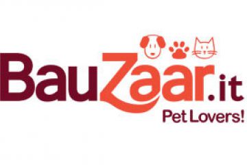 Bauzaar