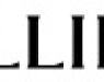 Allies of Skin 