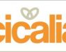 Cicalia