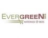 EverGreen Web