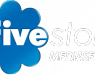 Fivestore